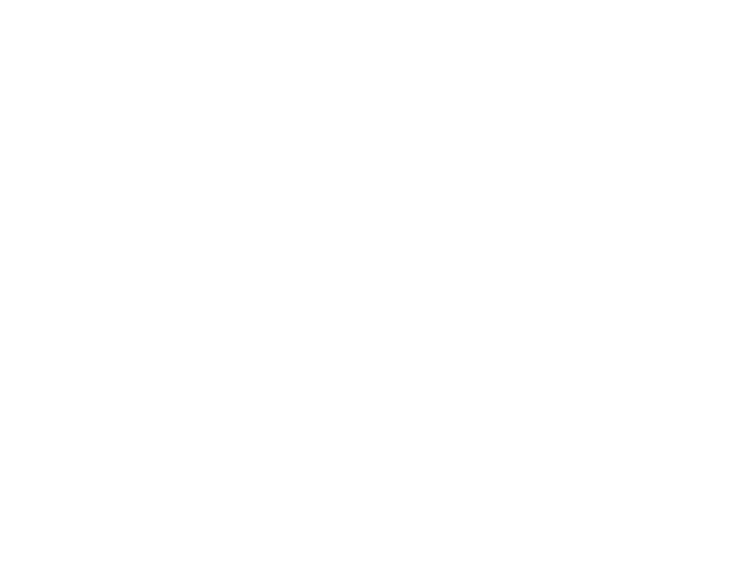 Rebel PM International