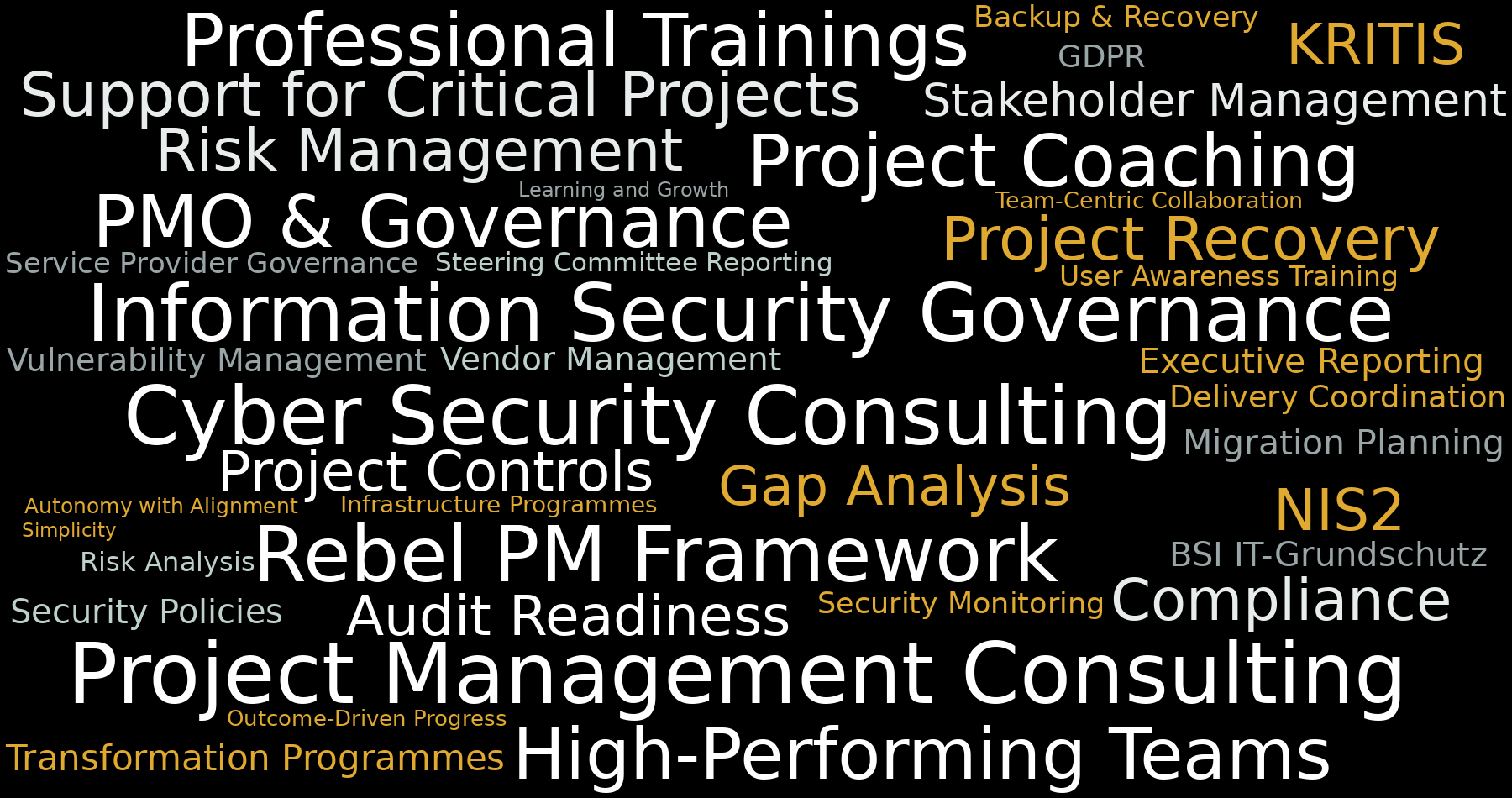 Overview of the skills and services offered by Rebel PM International